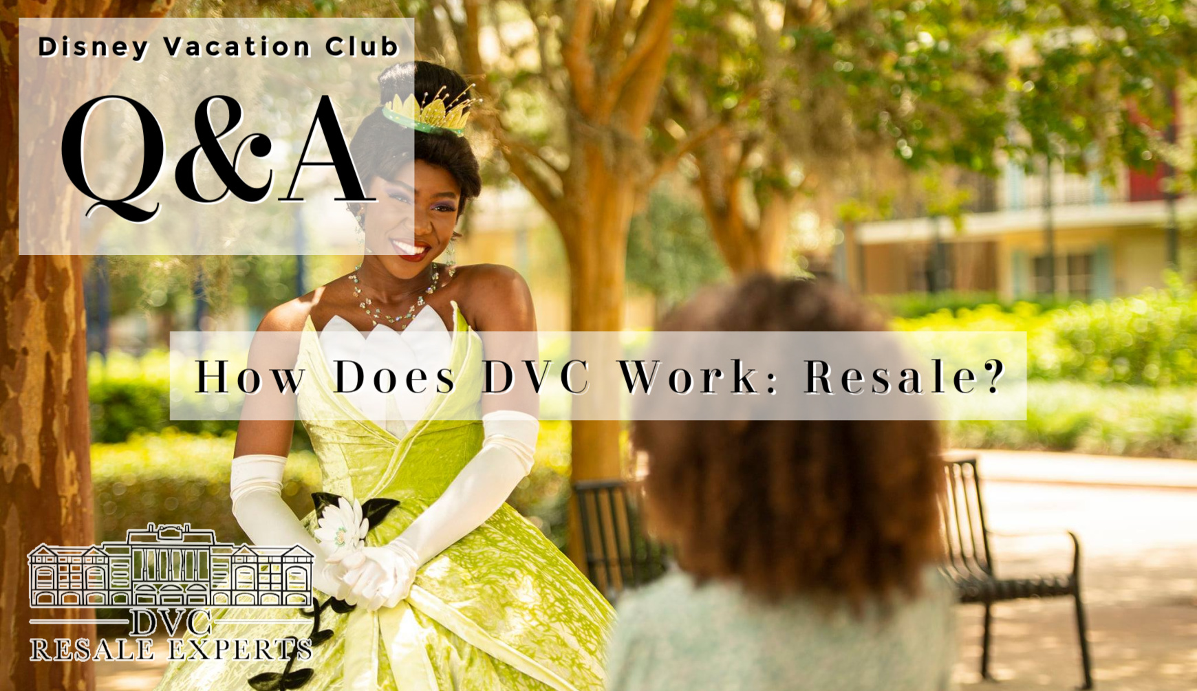 How Does DVC Work