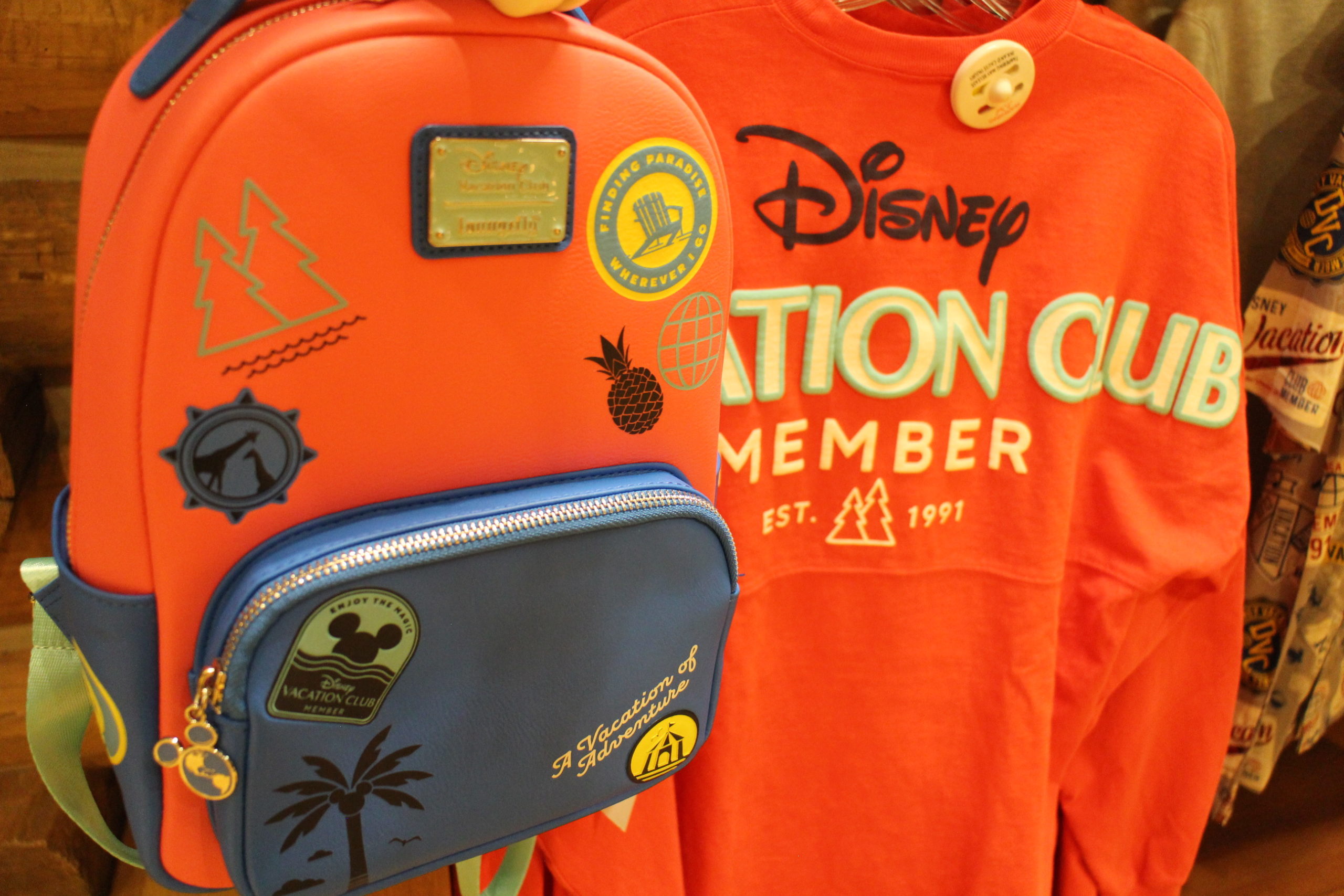 DVC Loungefly backpack and Spirit Jersey