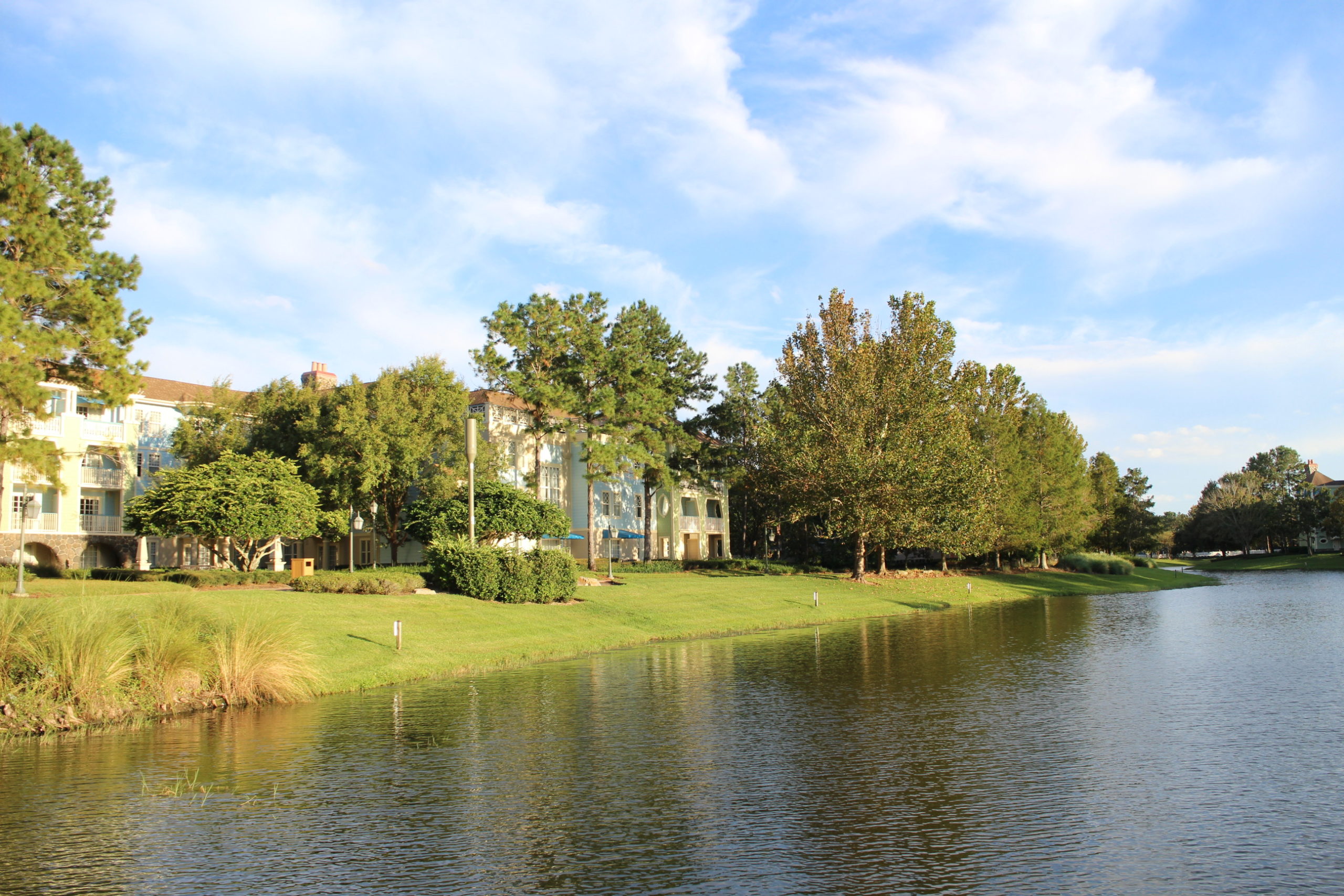 A reflective lake with Disney's Saratoga Springs Resort pastel buildings hidden behind trees