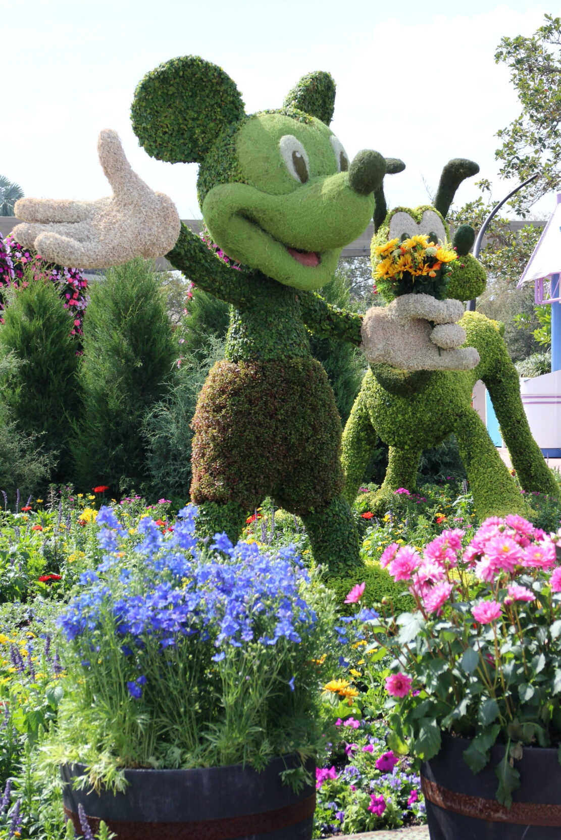 Epcot FlowerandGarden Mickey Topiary