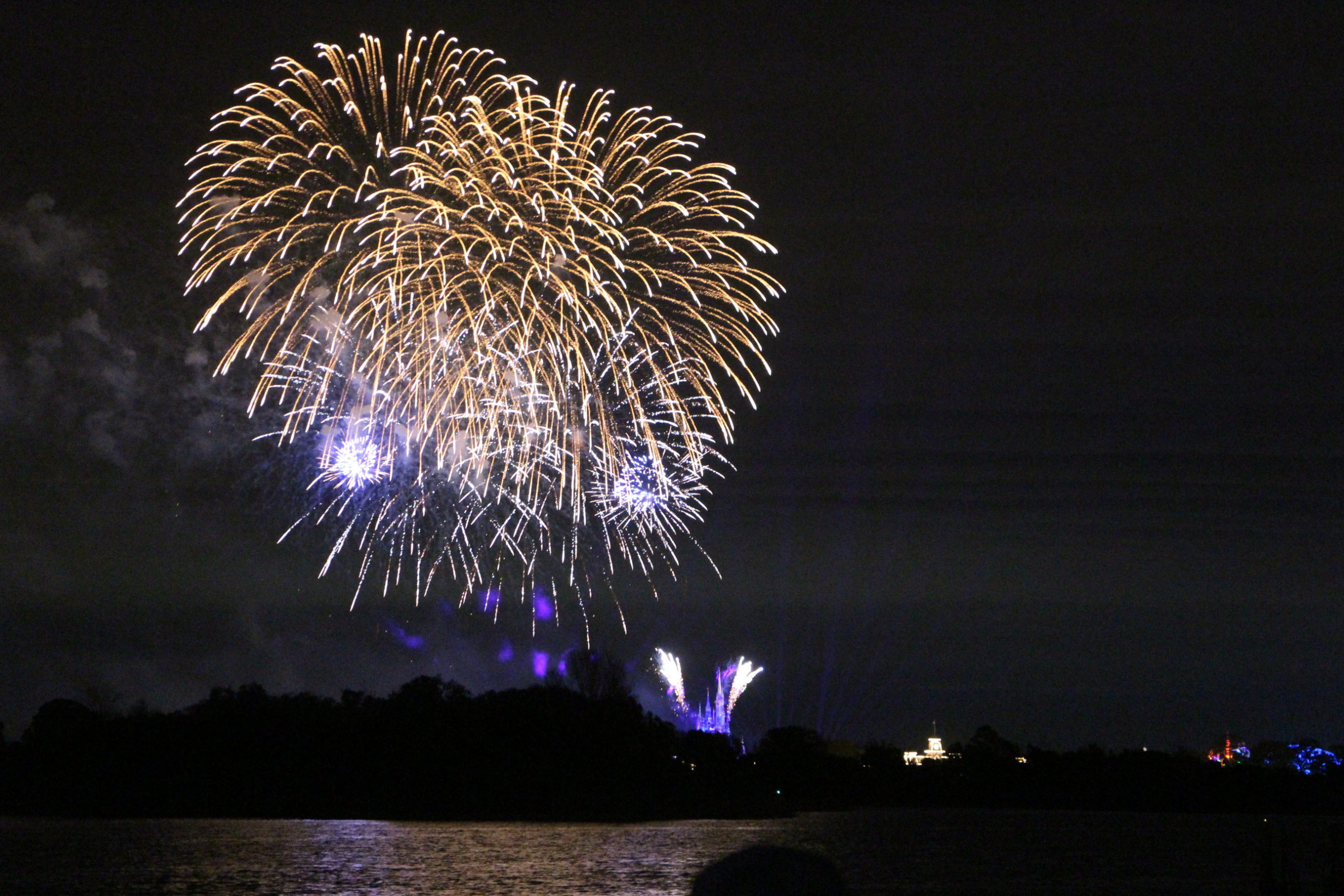 Magic Kingdom fireworks in a dark sky over water