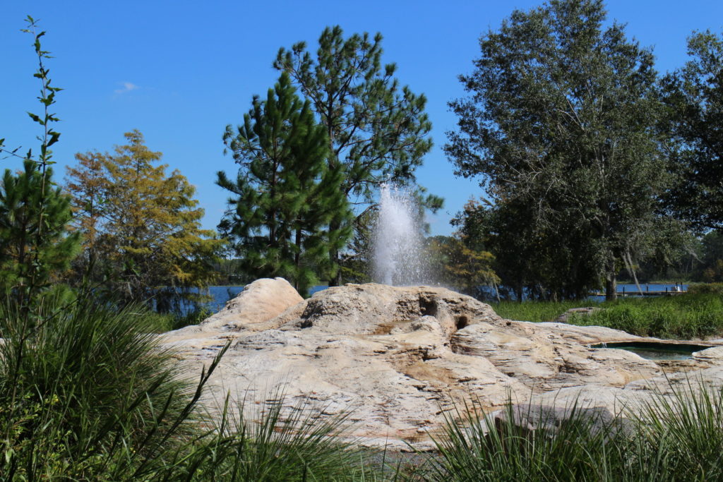 Geyser in front of a wooded lake area at Disney's Wilderness Lodge Disney Vacation Club Resort