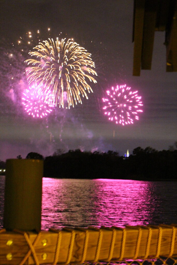 DVC Resorts with the Worst Firework Views