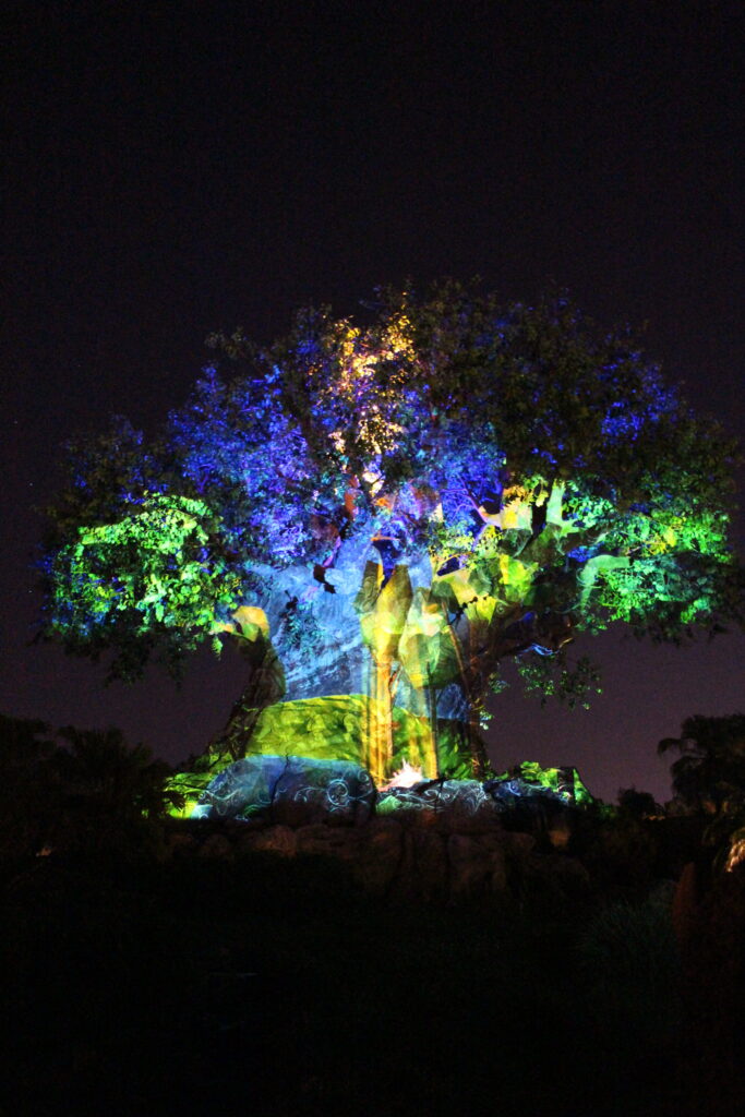 Tree of Life lit with color images in front of a dark sky