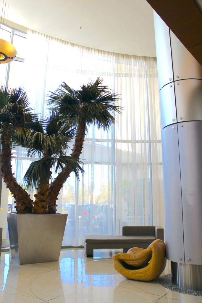Bay Lake Tower bright lobby with floor to ceiling windows and a large potted palm tree