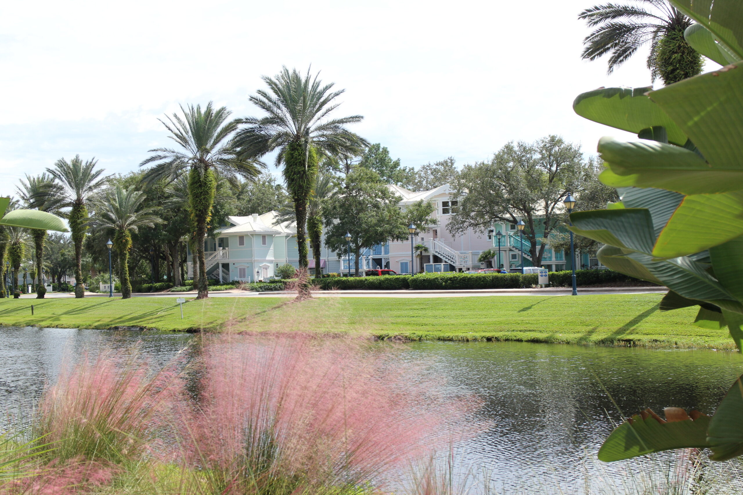 fluffy grass in front of a lake with Old Key West Resort pastel buildings behind them