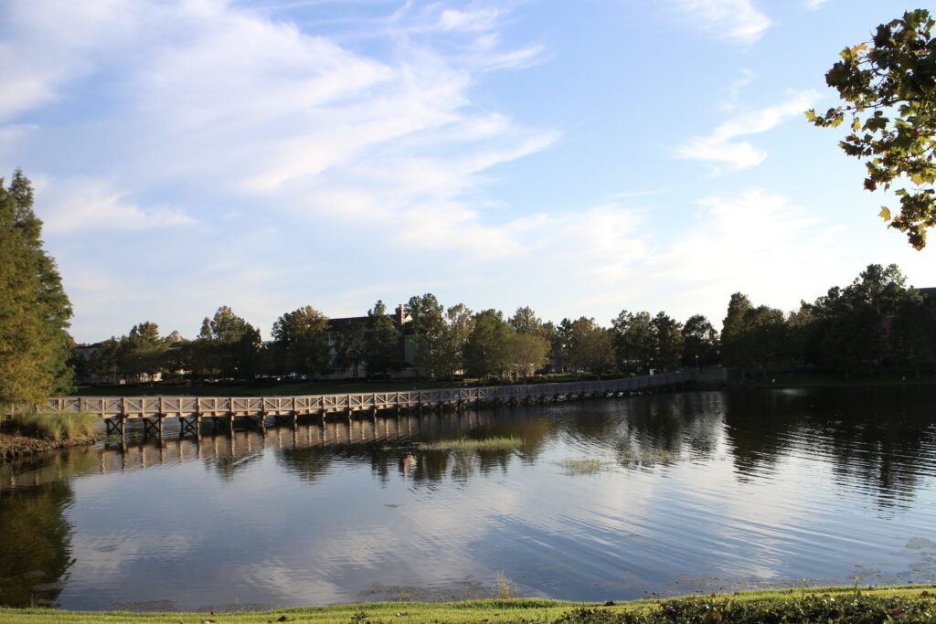 A calm pond at Saratoga Springs Disney resort