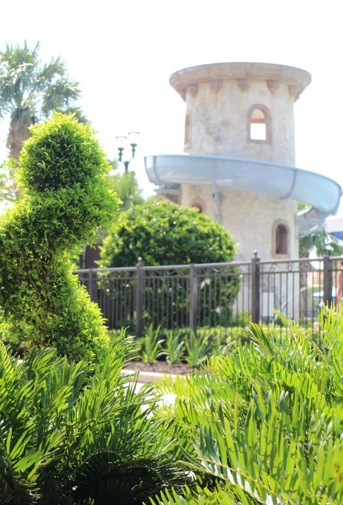 Green landscaping in front of a tower that has a pool slide wrapped around it at Disney's Riviera Resort