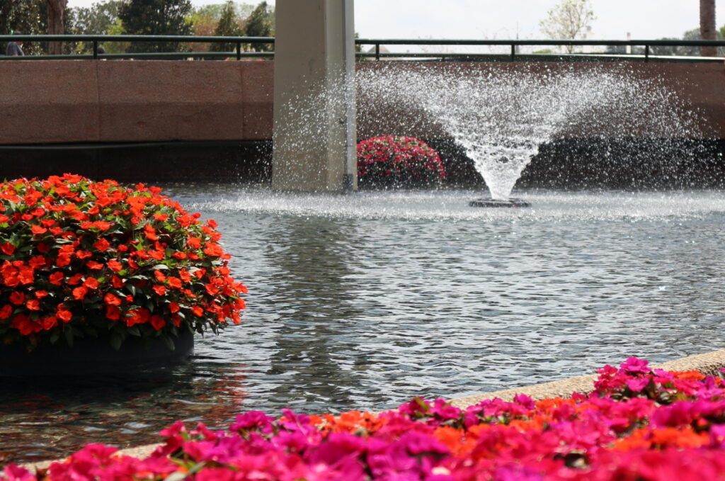 A pond surrounded by pink and red flowers with a sparkling fountain in the middle.