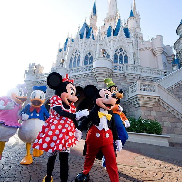 Disney World Vacation Packages 2022 Prices